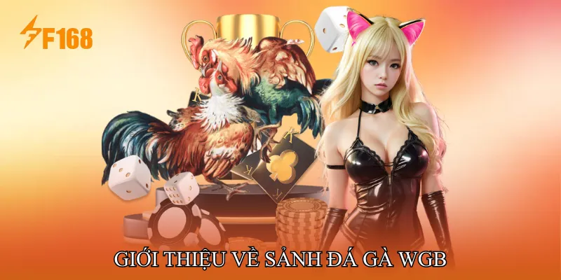Giới thiệu về Sảnh Đá gà WGB